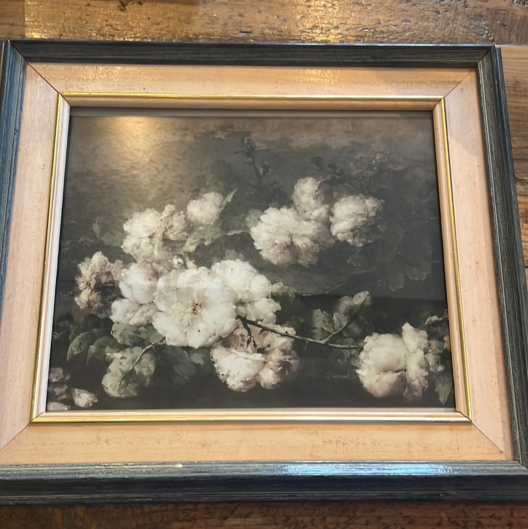 Vintage Framed White Flower Print