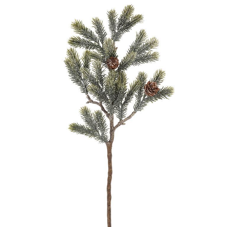 Evergreen Branches