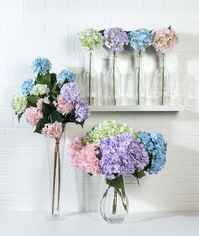 Hydrangea Stems