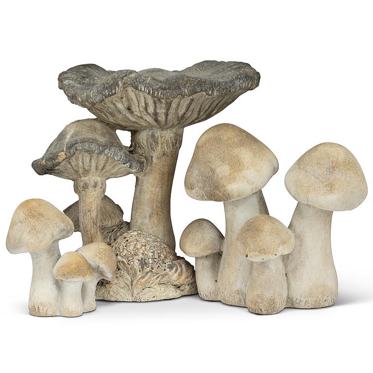 Mushroom Cluster
