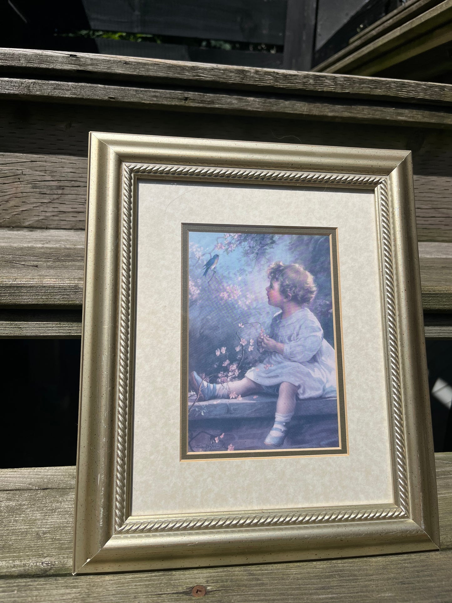 Vintage Framed Prints