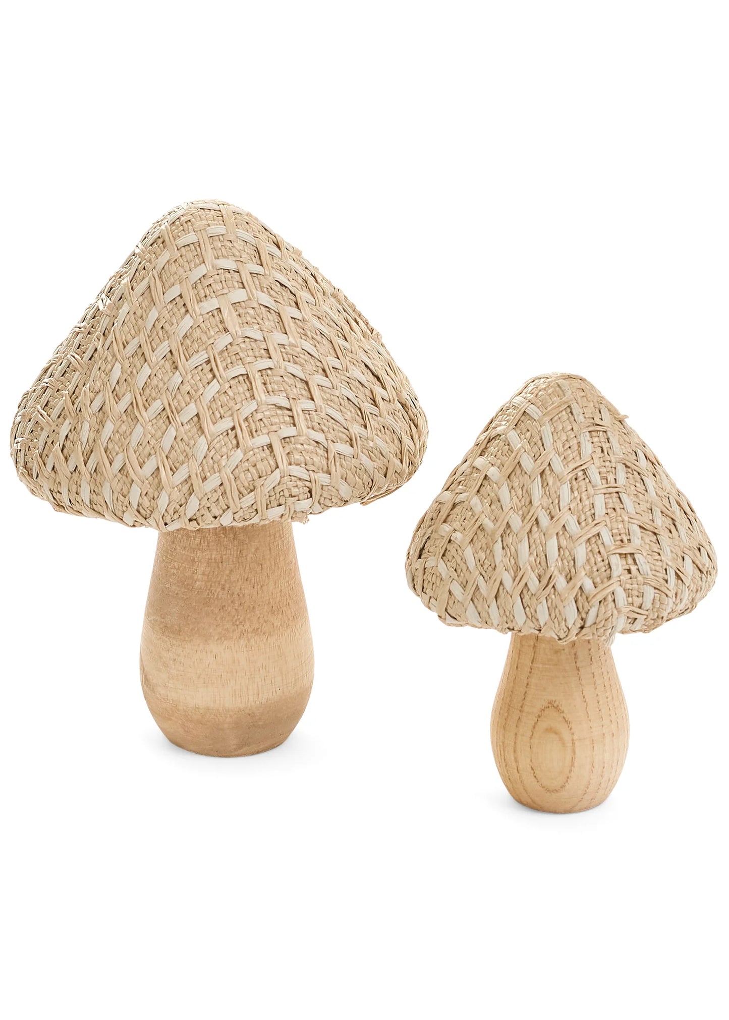 Natural Wrap Mushrooms: Beige White