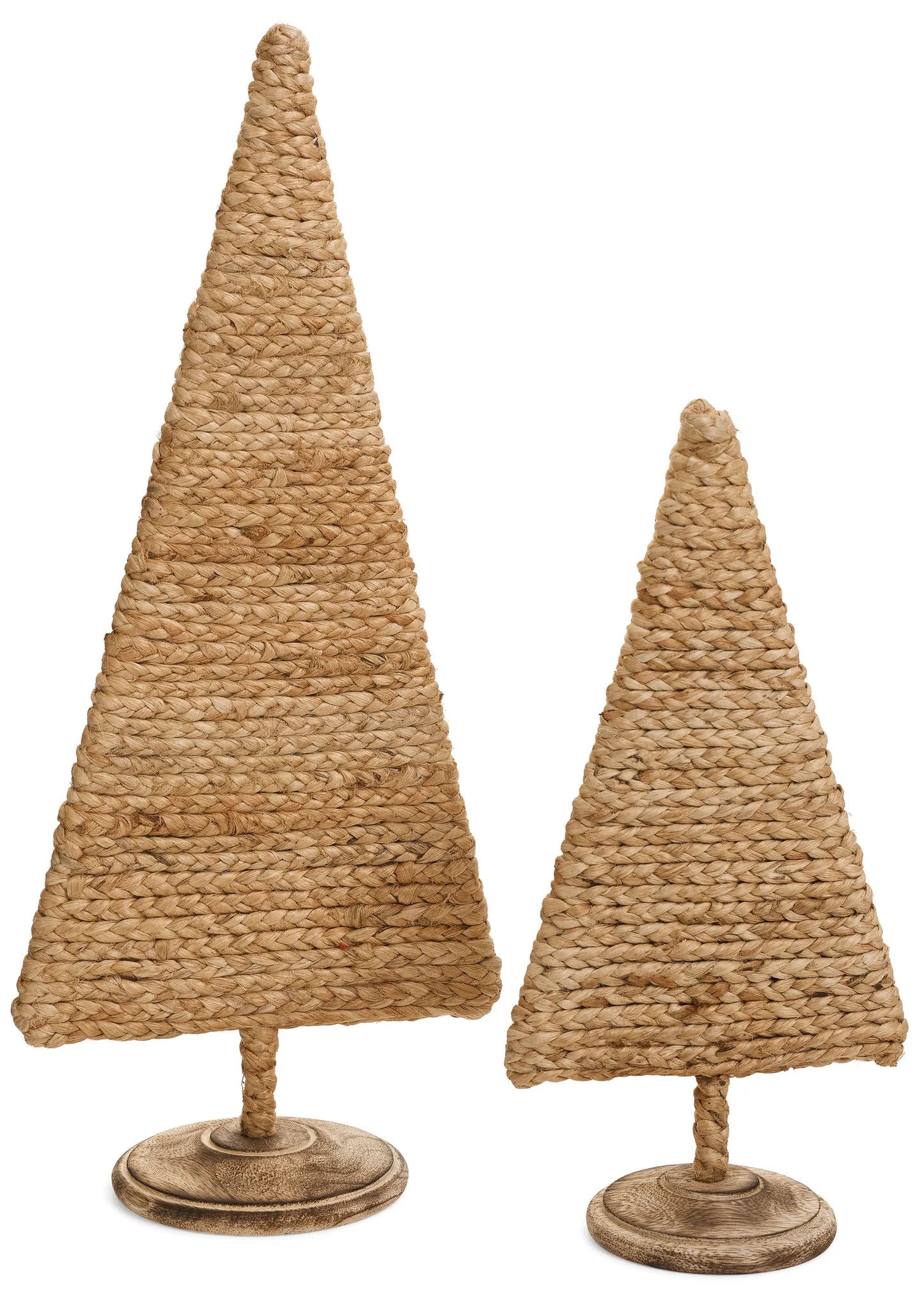 Jute Trees