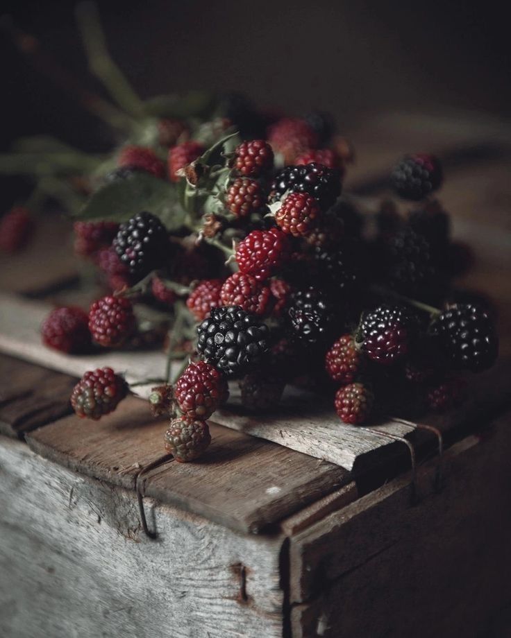 Deluxe Body Butter- Fred & Alice