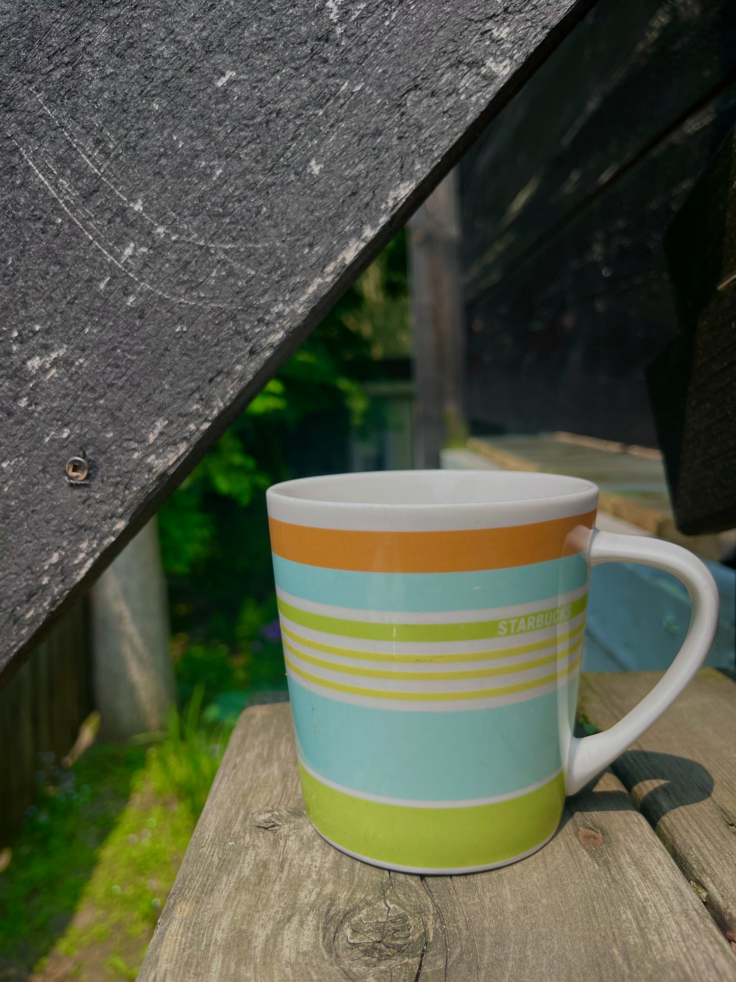 Starbucks Mug From 2005