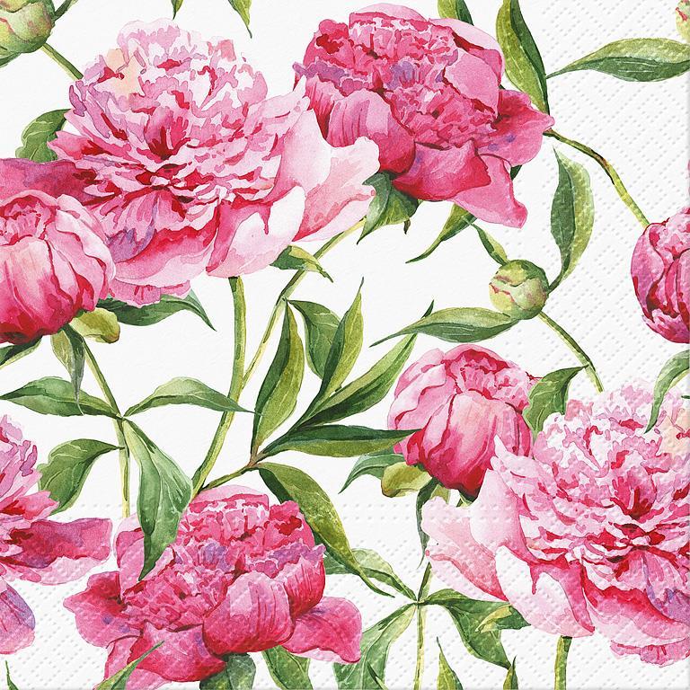 Pink Peonies Napkins
