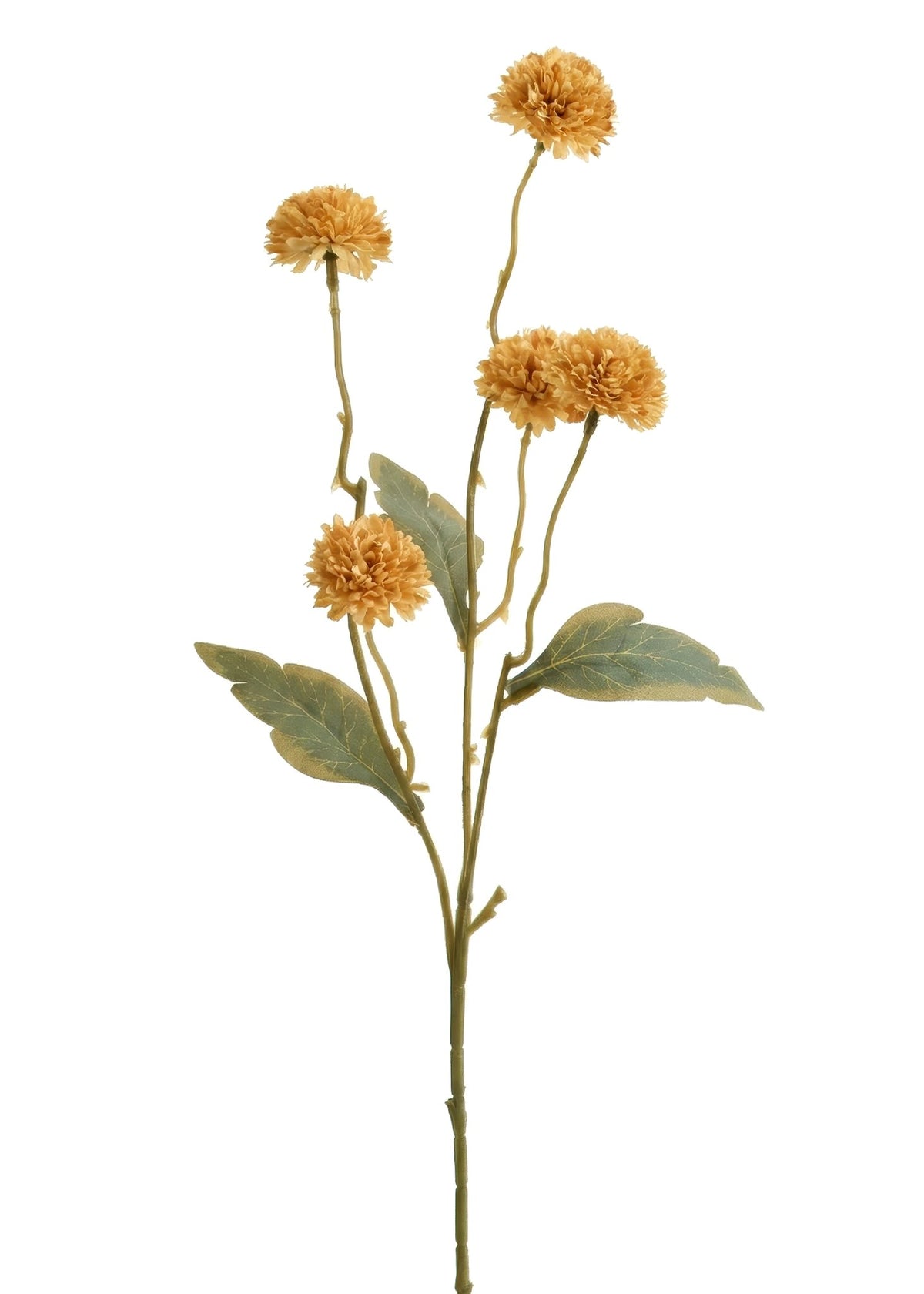 Pom Chrysanthemum Spray Yellow