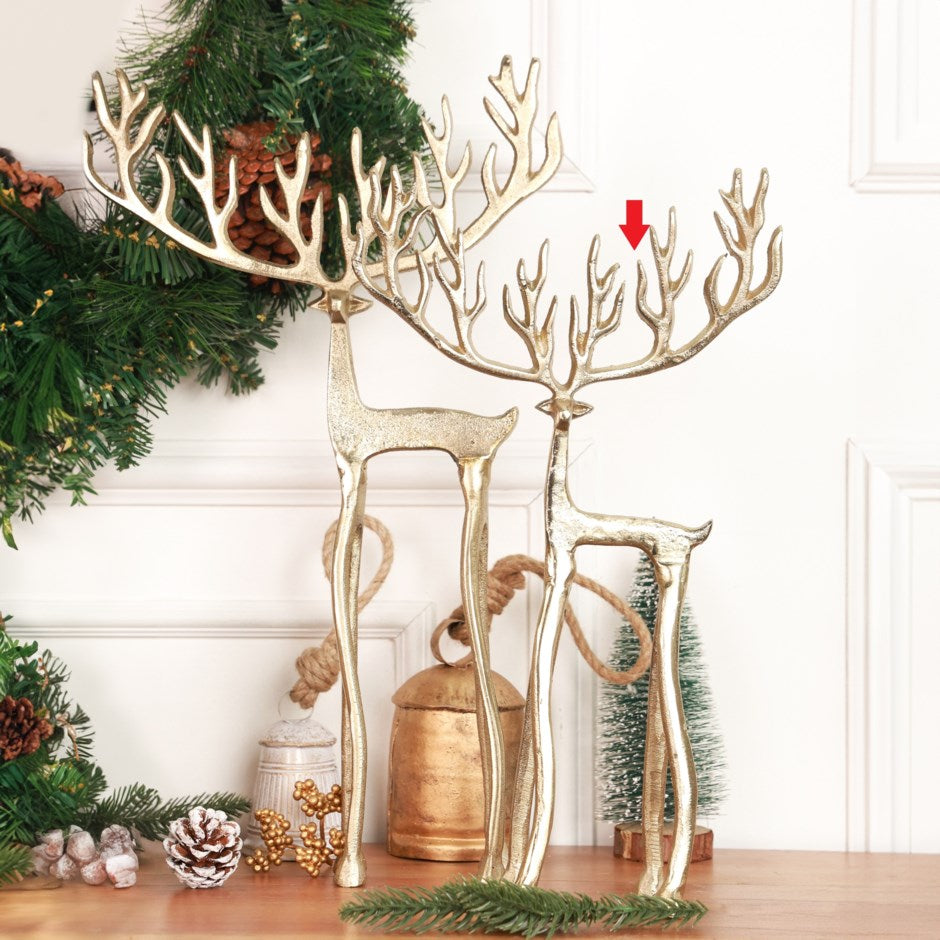 Rudolph Reindeer