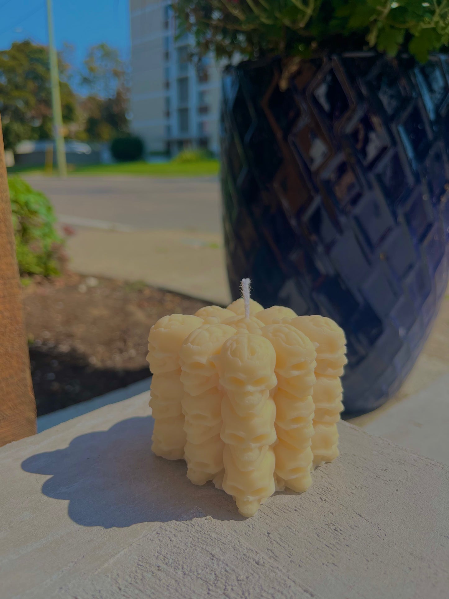 Molded Soy Candles