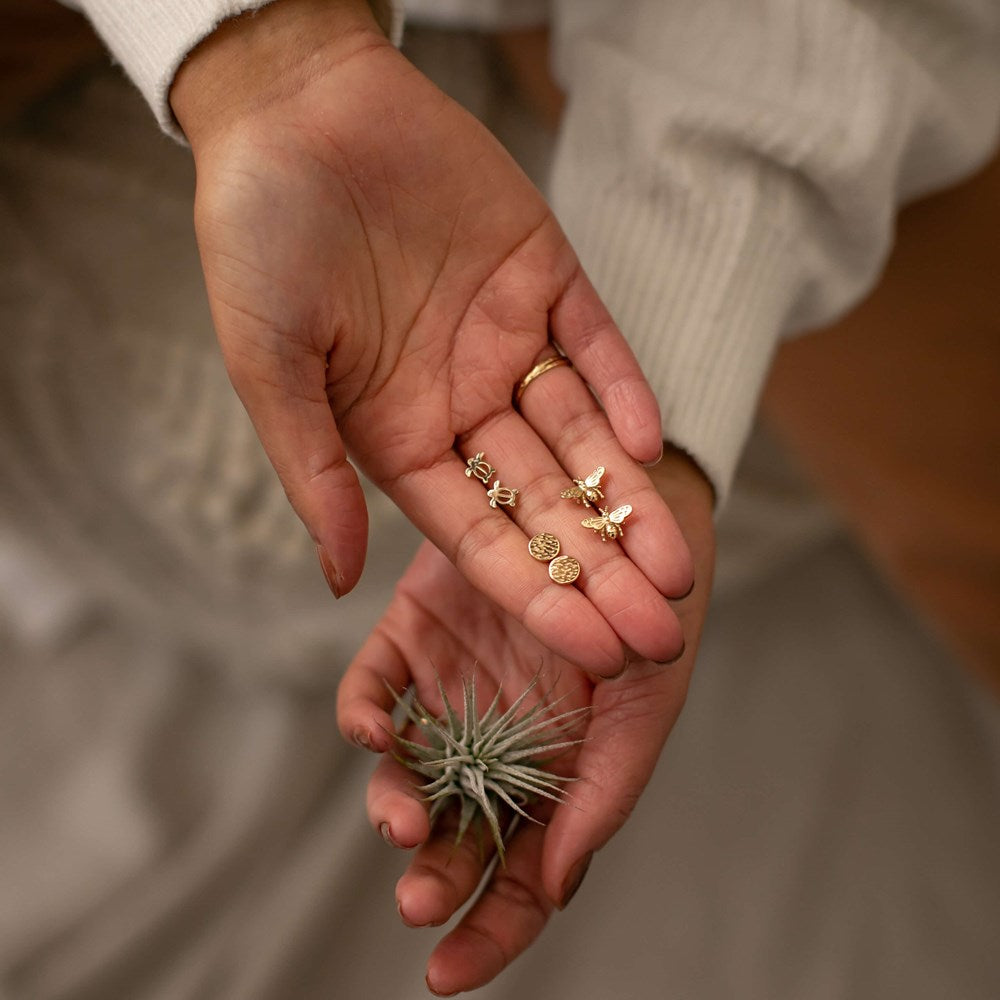 Honu Turtle Stud Earrings, Glee