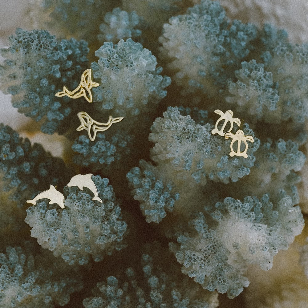 Honu Turtle Stud Earrings, Glee
