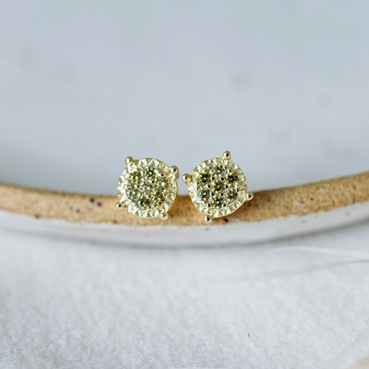 Shimmer Studs, Glee