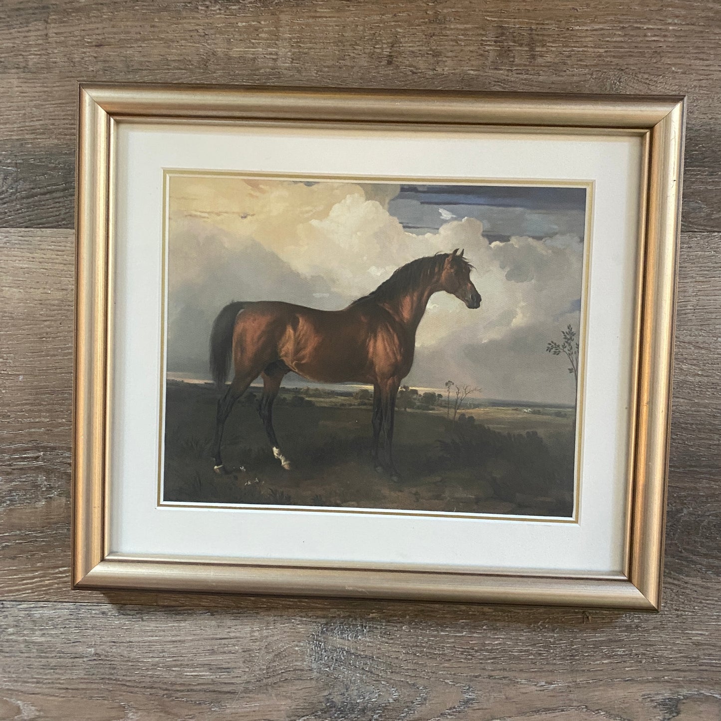 Vintage Framed Prints
