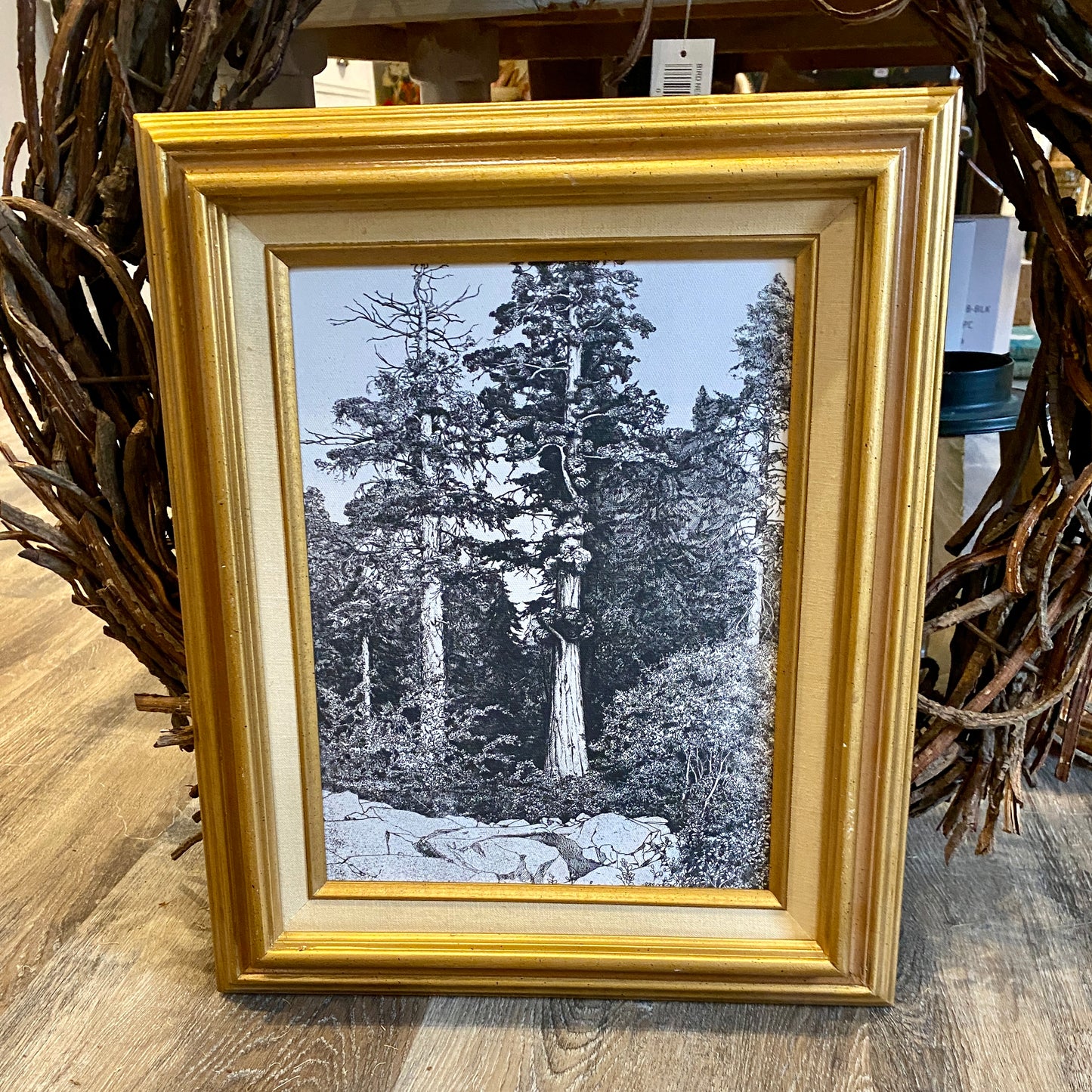 Vintage Framed Prints