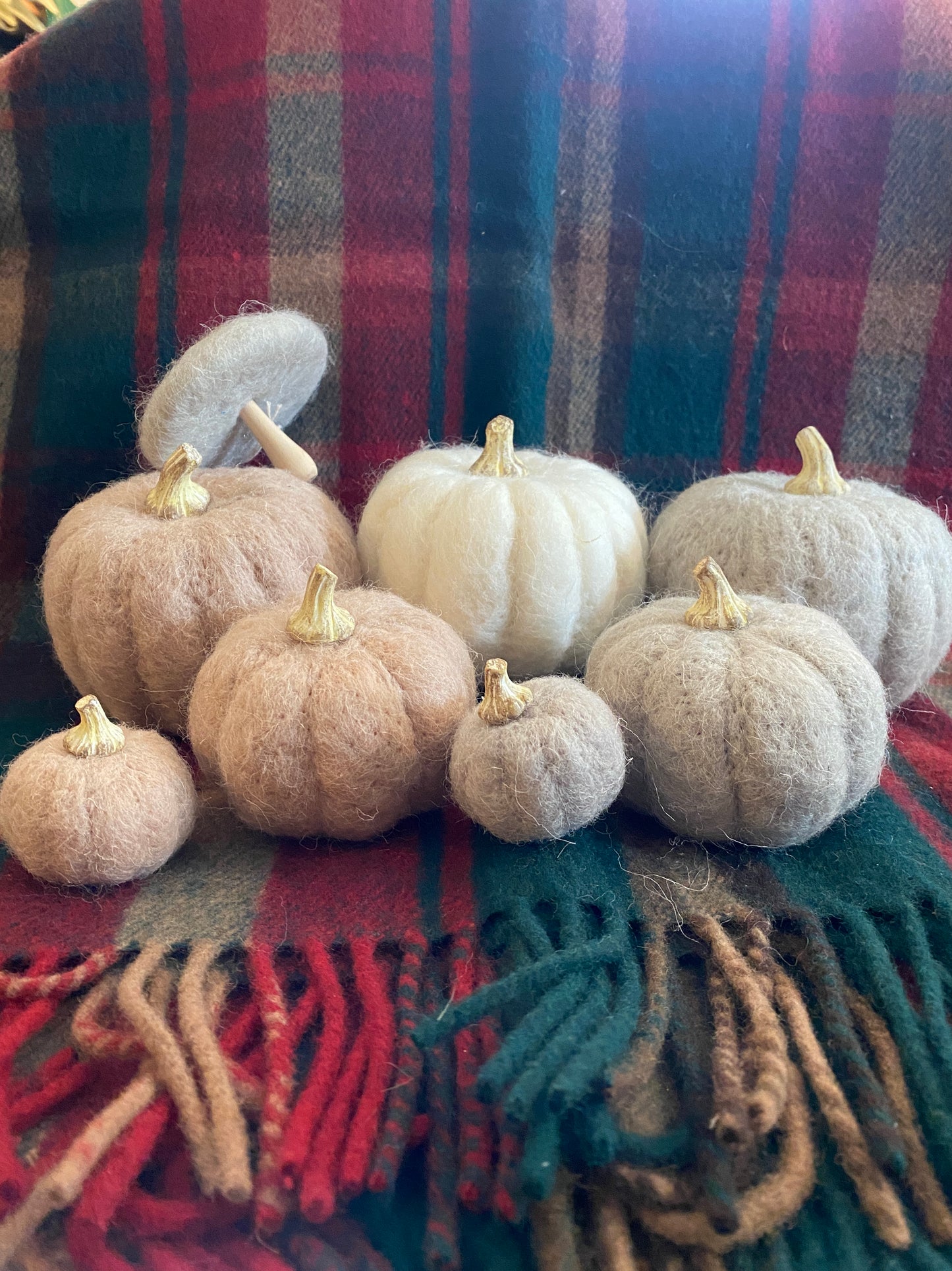 Felted Grey Mushroom