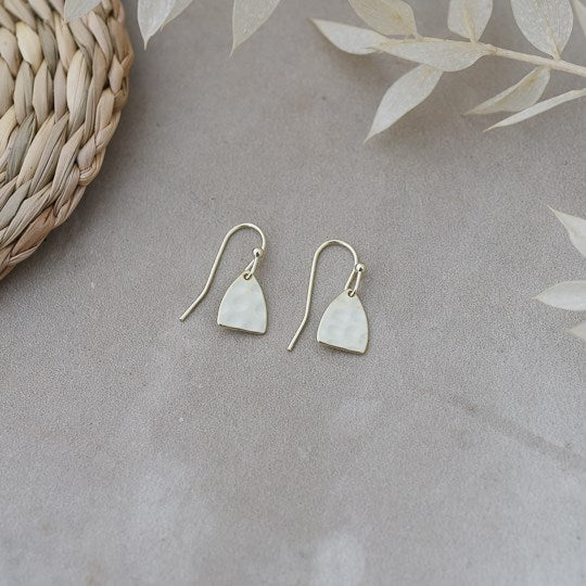 Peekaboo Earrings, Glee