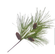 Holiday Greenery/Picks