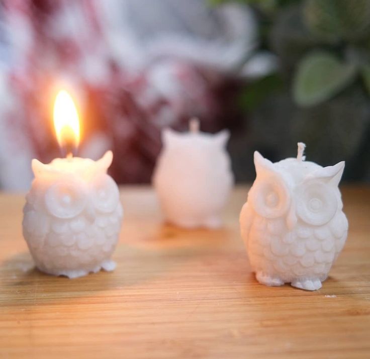 Molded Soy Candles