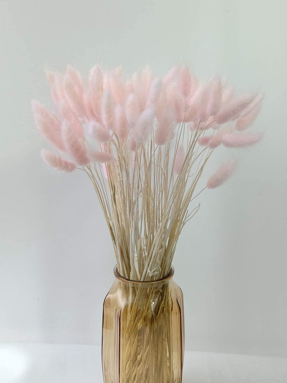 Bunny Tails Grass
