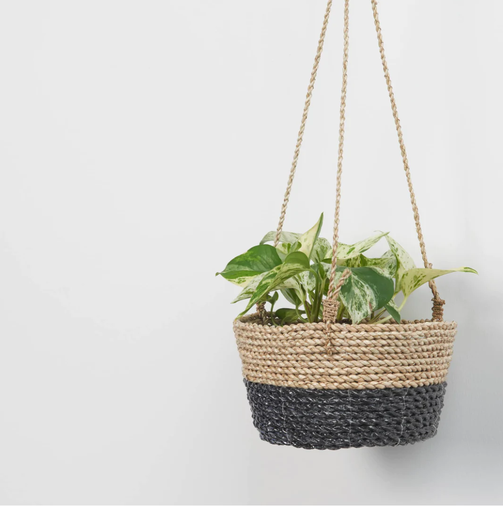 Classic Hanging Basket