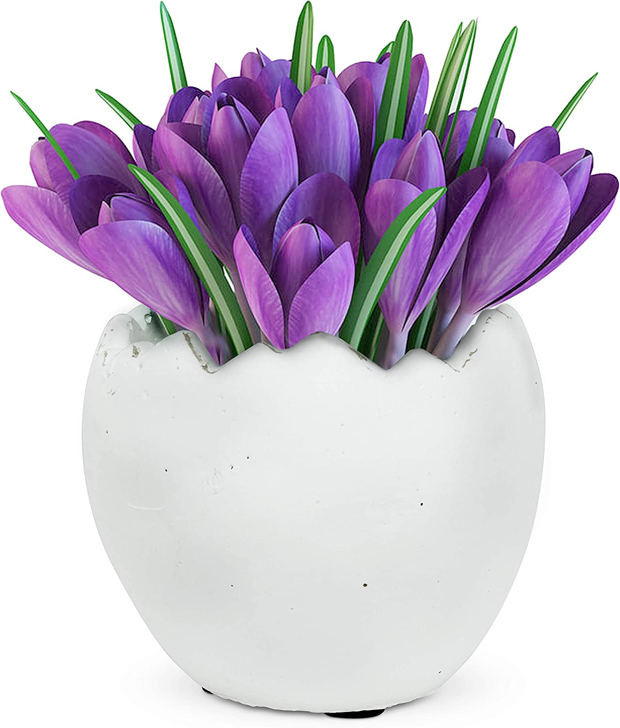 Large Egg Planter