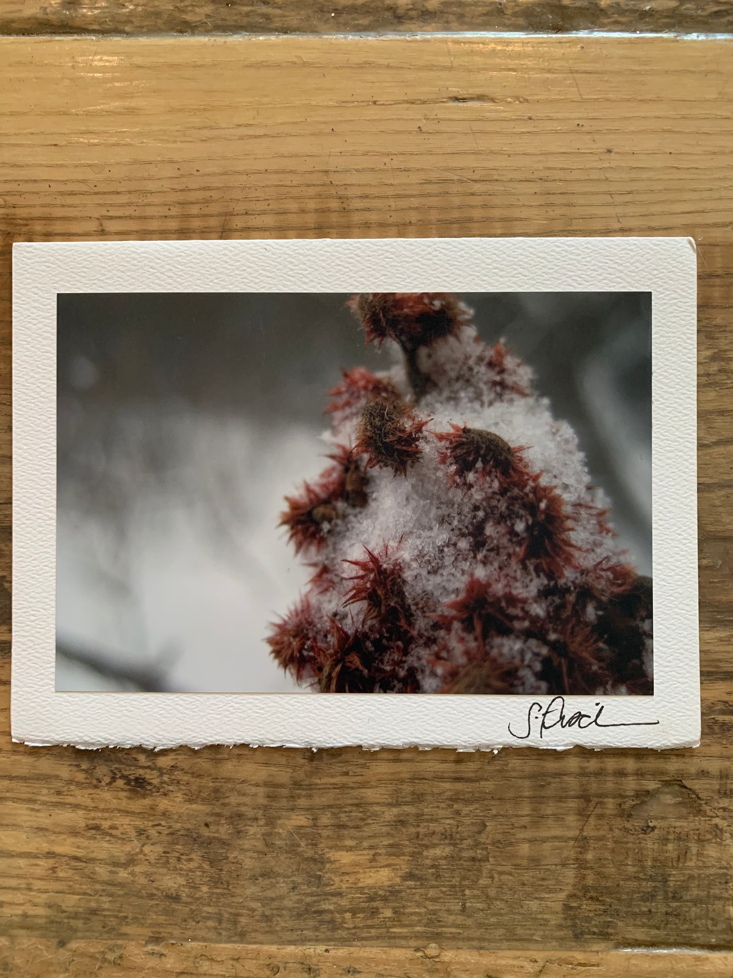 Photographed Handmade Cards