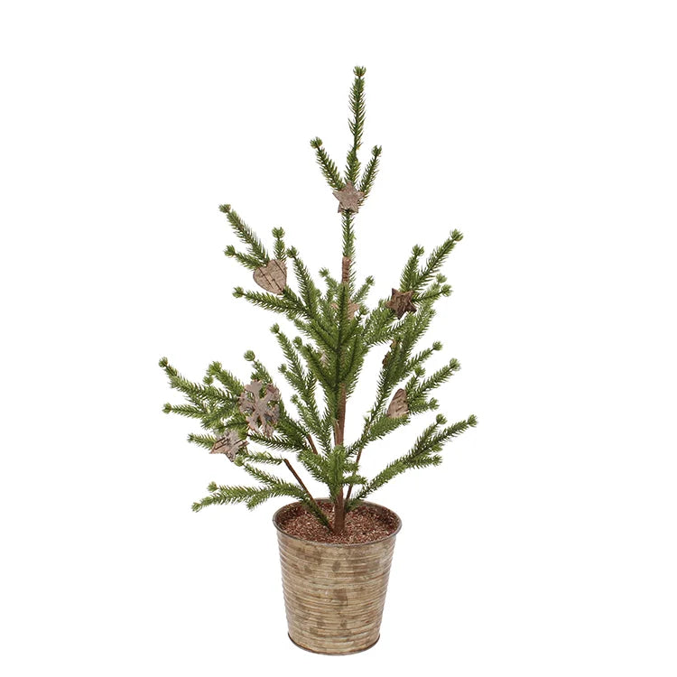 Birch Tree in Rustic Tin Pail