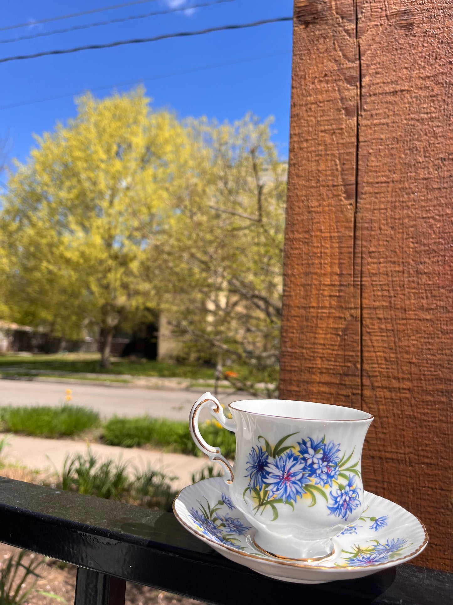 Vintage Tea Cup Set