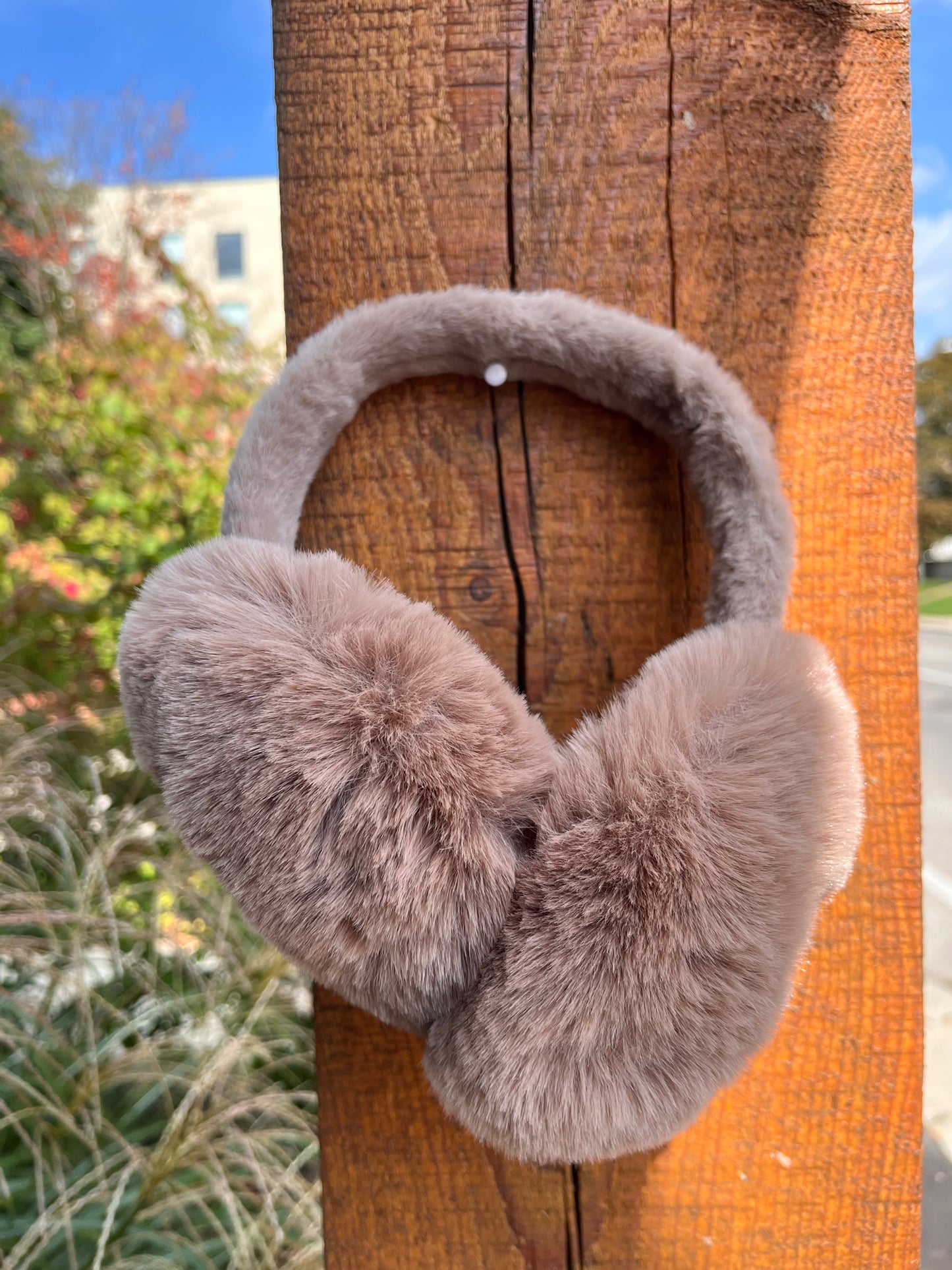 Ear Muffs