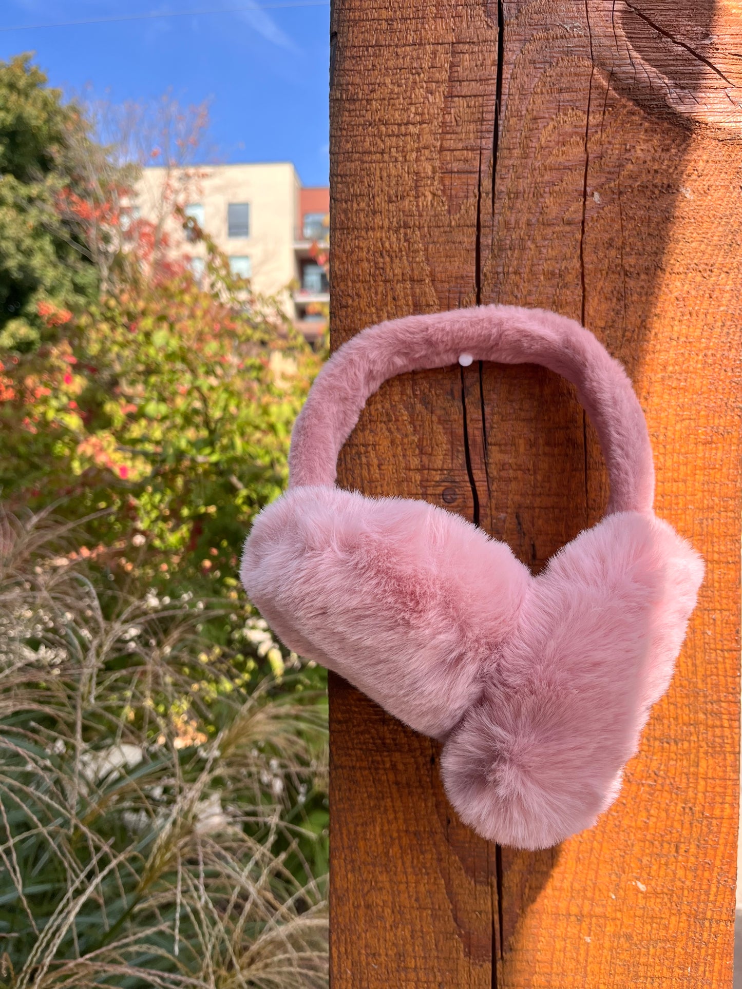 Ear Muffs