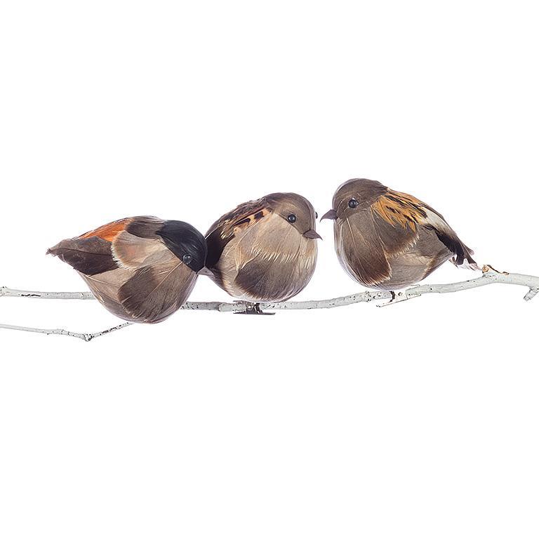 Large Plump Bird Clip