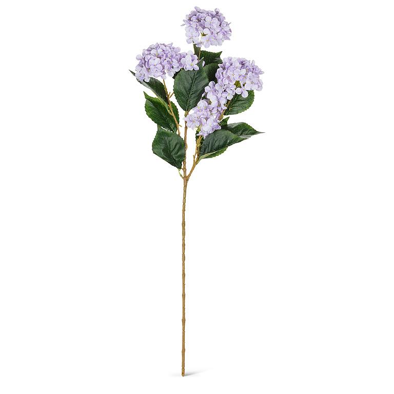 Hydrangea Stems