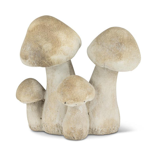 Mushroom Cluster Large