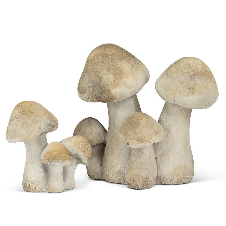 Mushroom Cluster Large