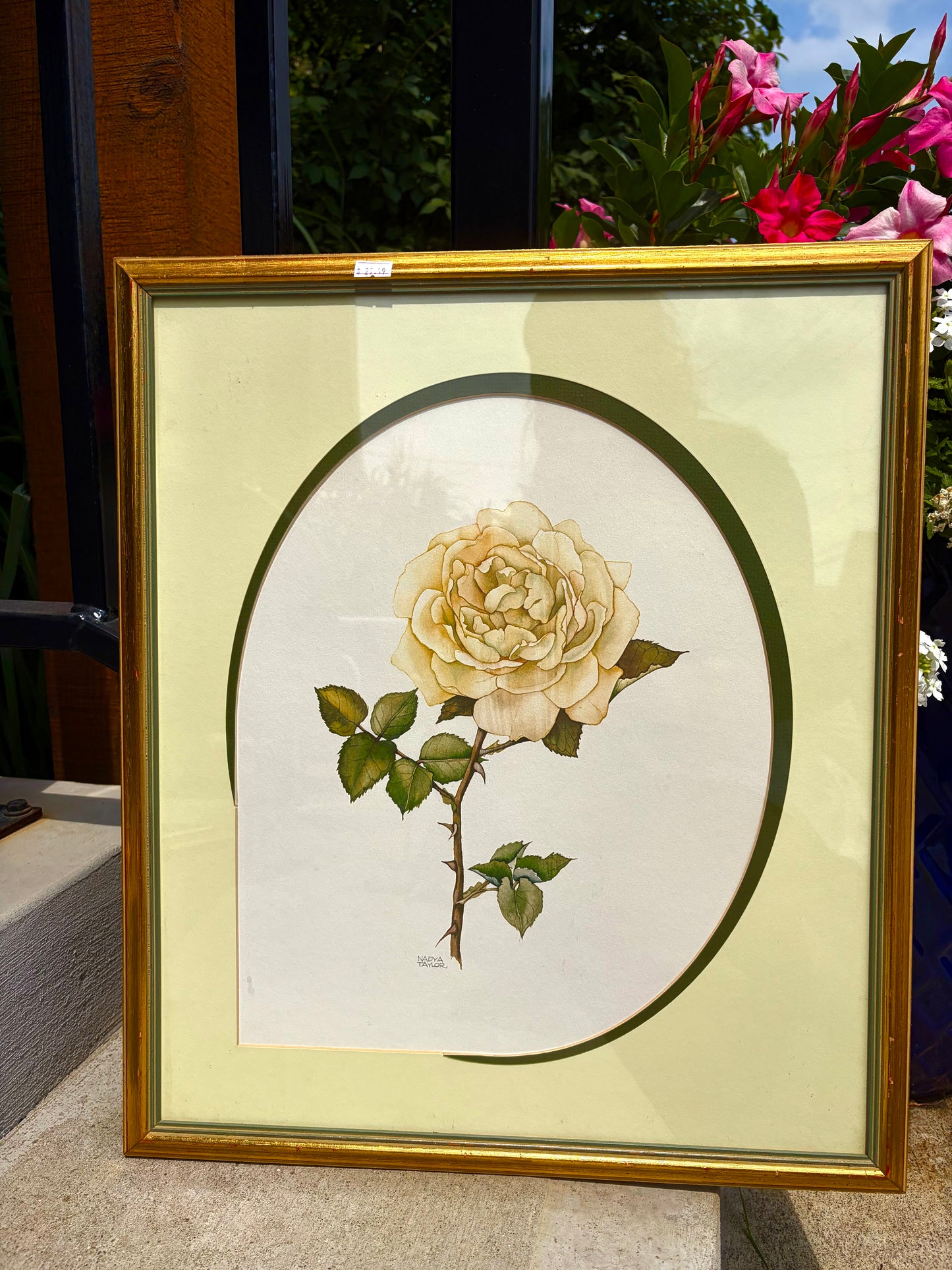 Vintage Framed Prints