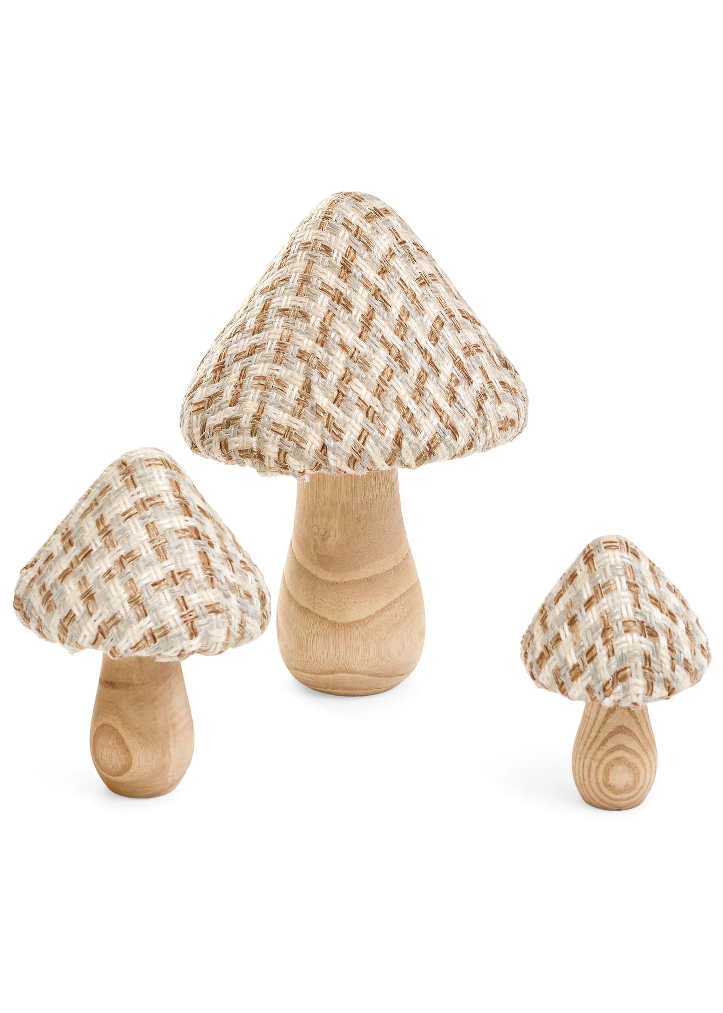 Cream Grey Tan Mushrooms