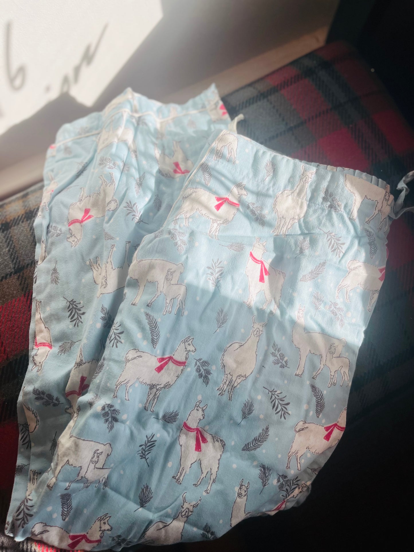 Sleep Pant Pajamas: Pants In A Bag: Winter Edition