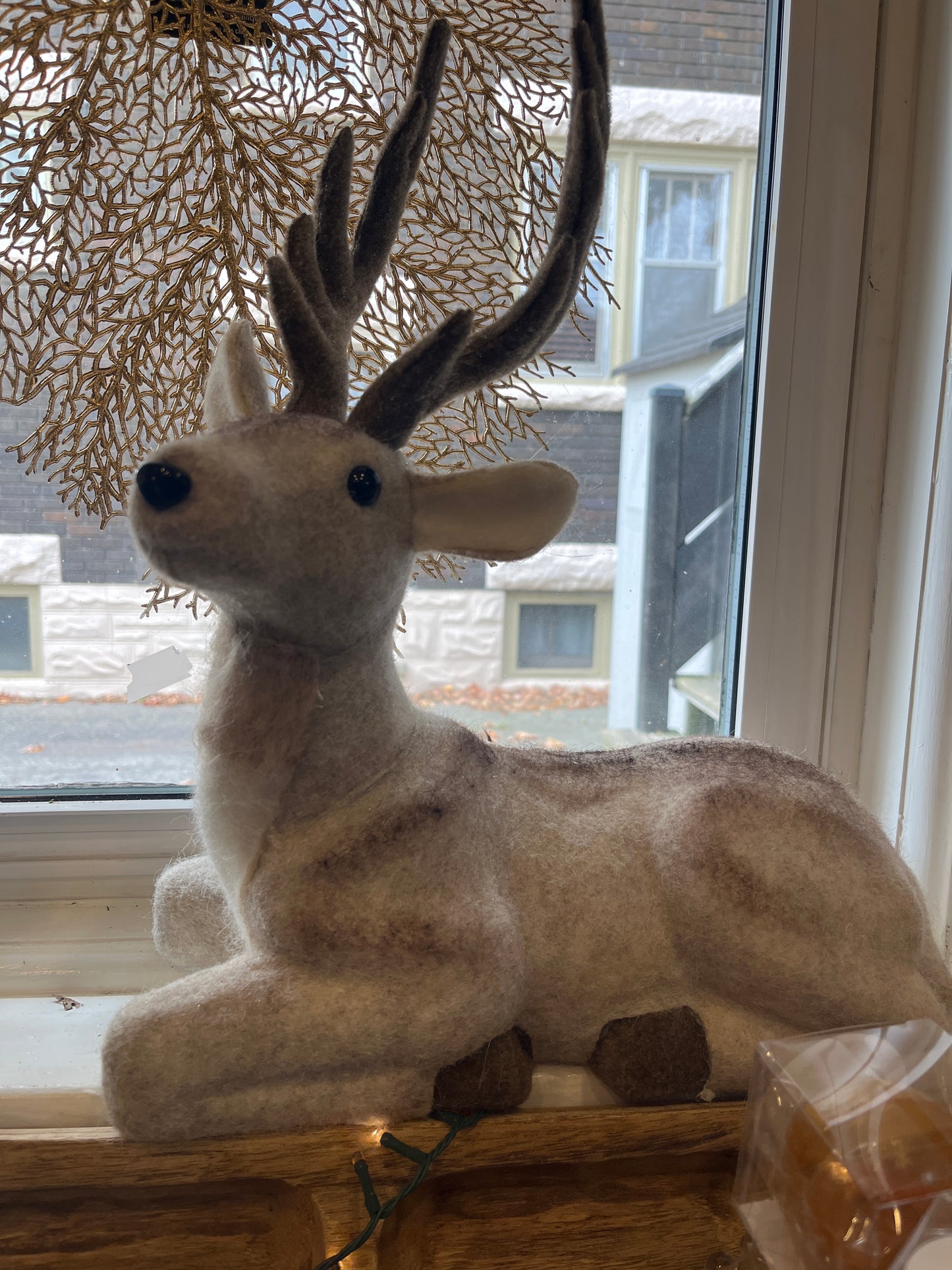 Deer Sitting Wool