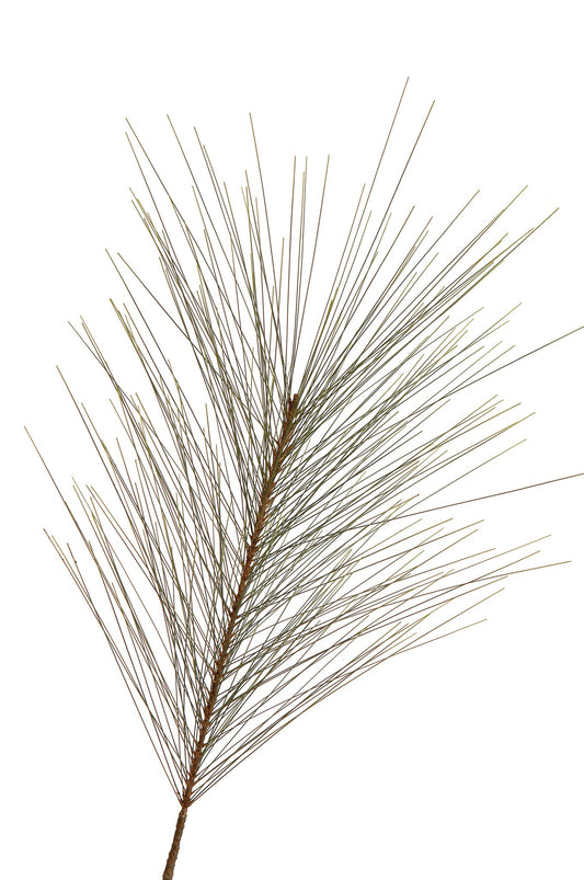 Long Leaf Pine Spray 30"