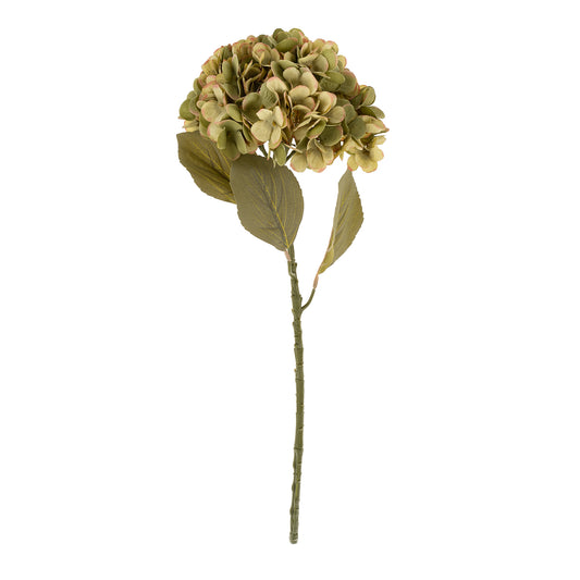 Large Green Faded Hydrangea Stem