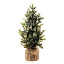 Load image into Gallery viewer, Tabletop Trees
