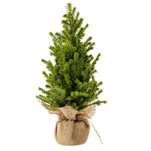 Load image into Gallery viewer, Tabletop Trees
