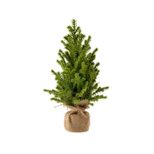 Load image into Gallery viewer, Tabletop Trees
