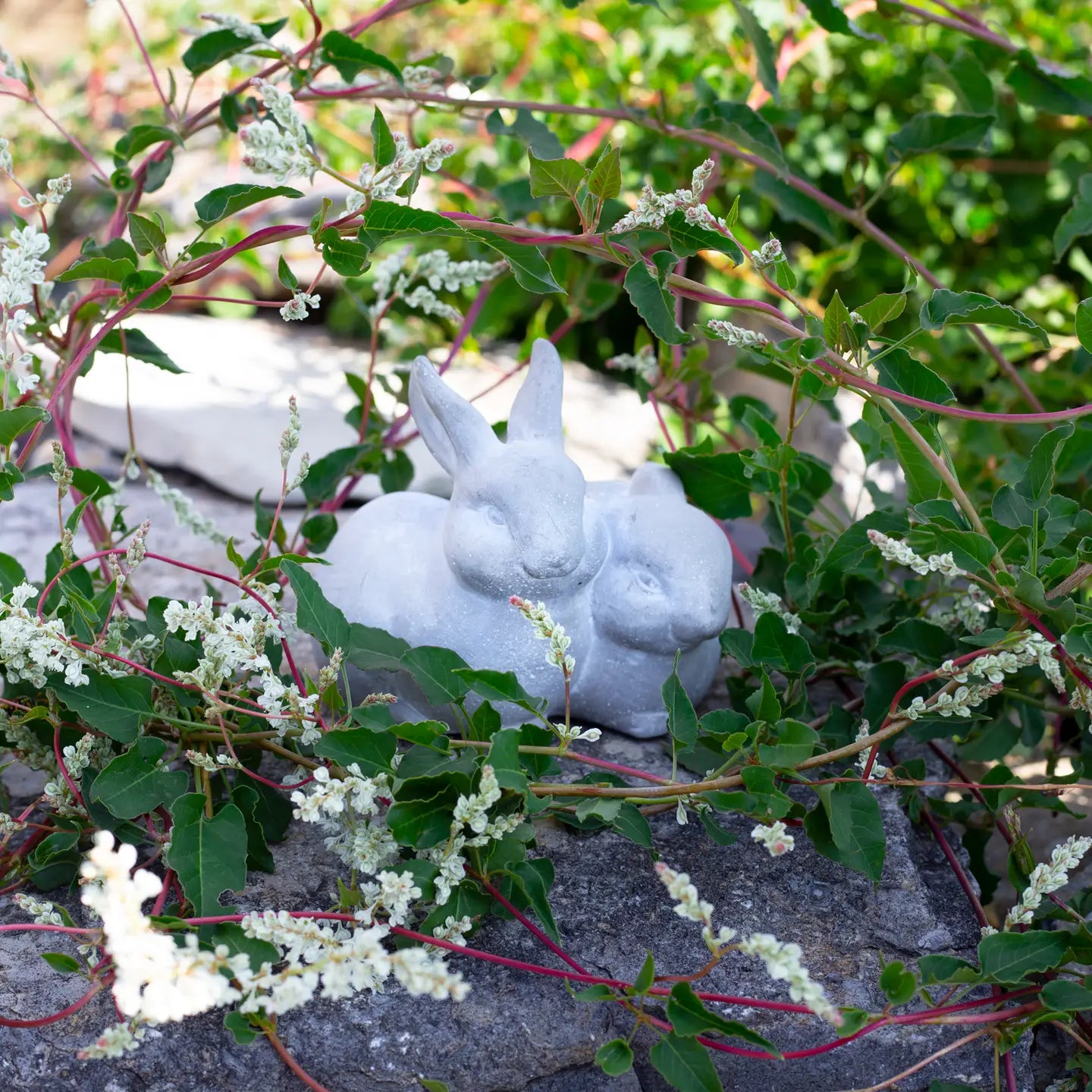 Cement Bunny Pair