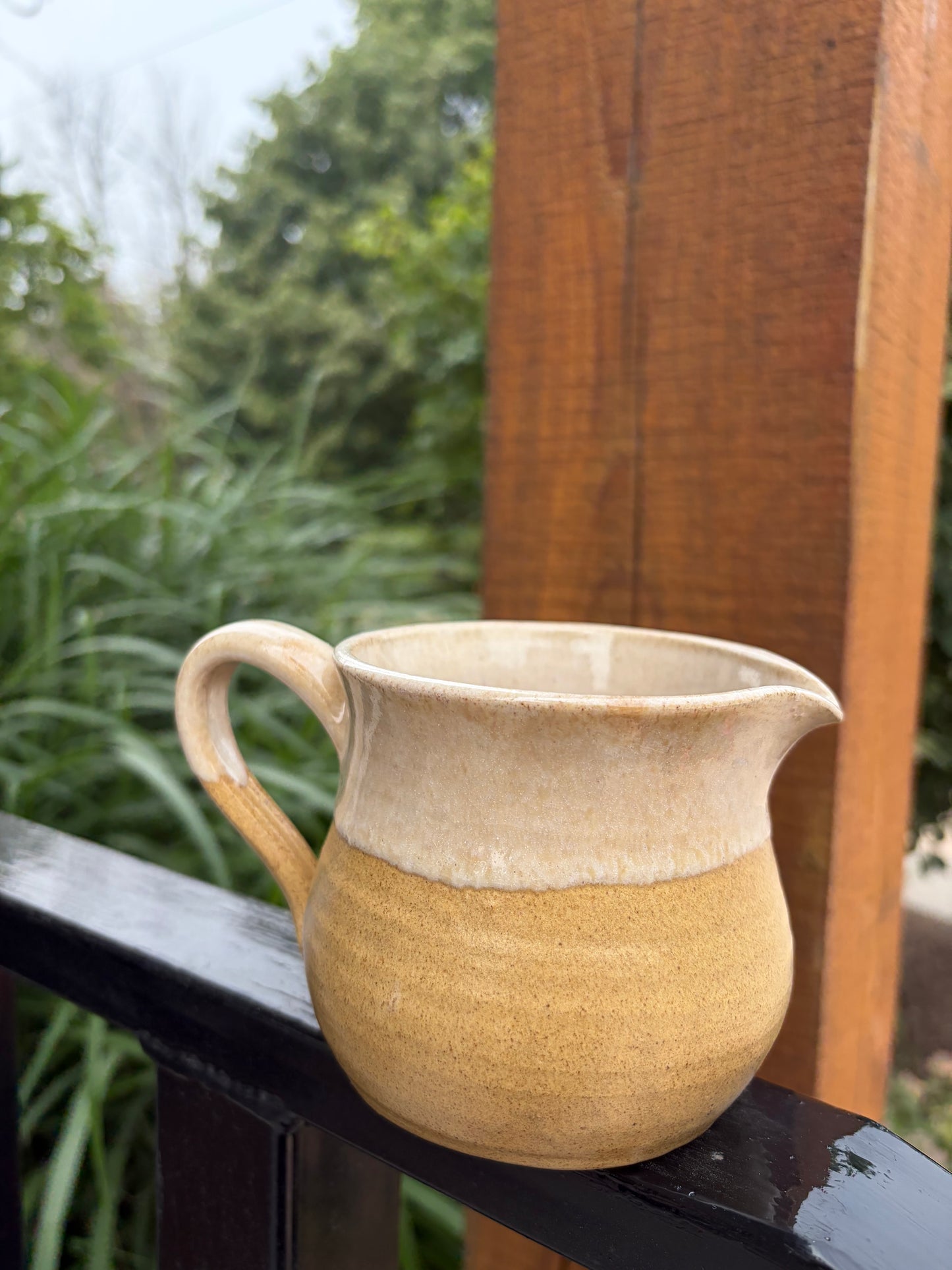 Pottery Mug