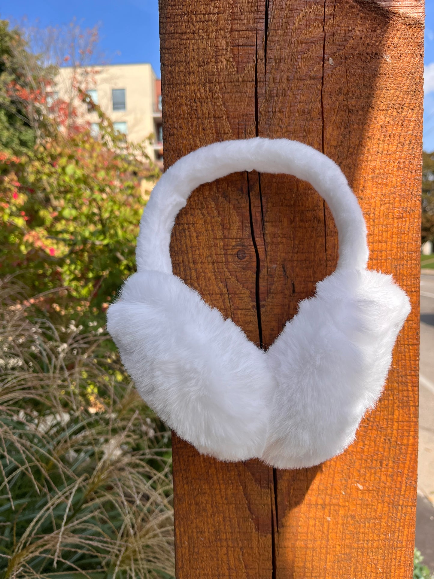Ear Muffs