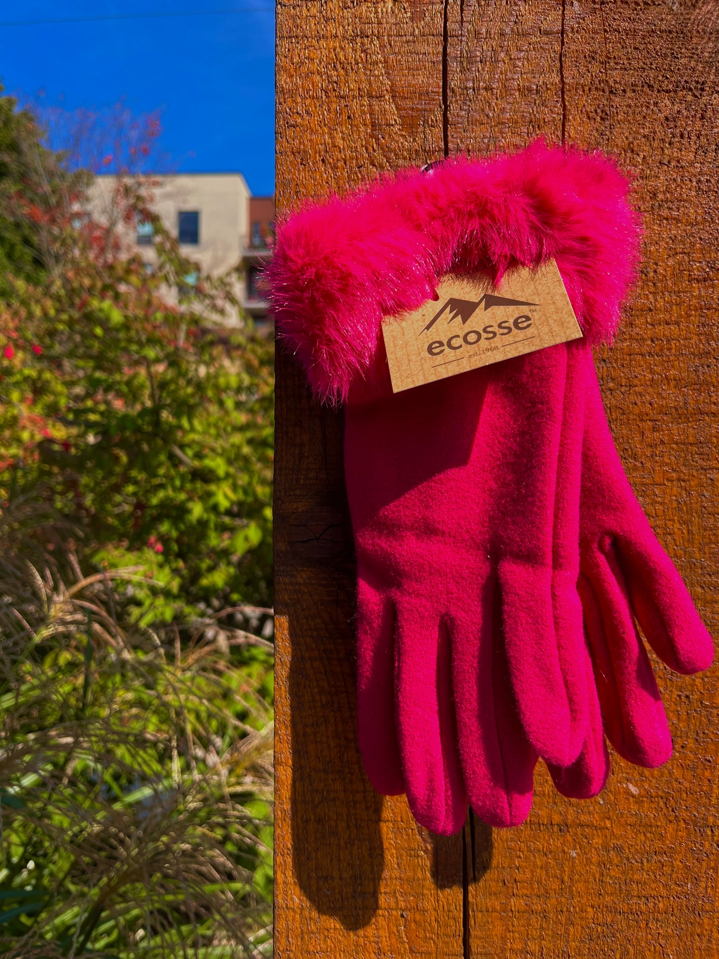 Fancy Fur Gloves