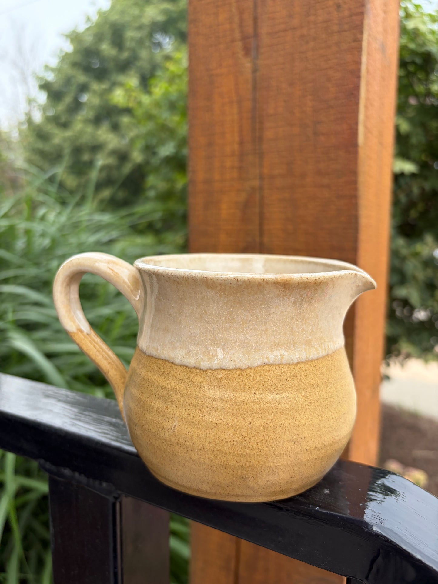 Pottery Mug