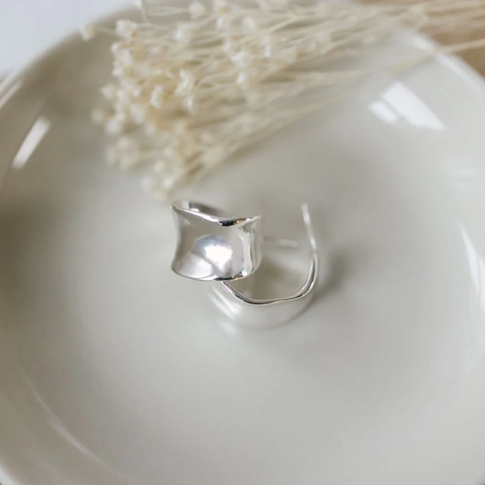 Artsy Fartsy Hoops, Glee