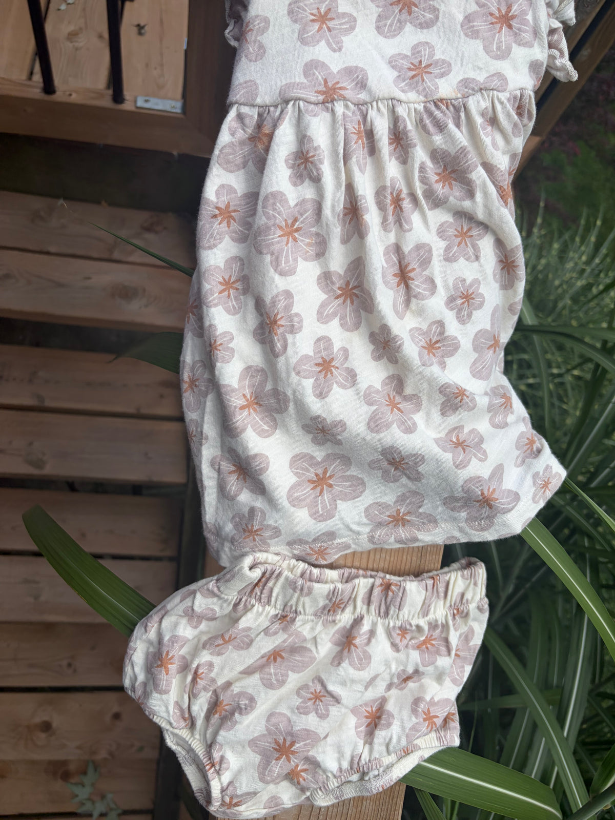 Rylee & Cru designer dress and pants